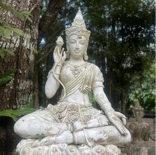 Воскресная тревога