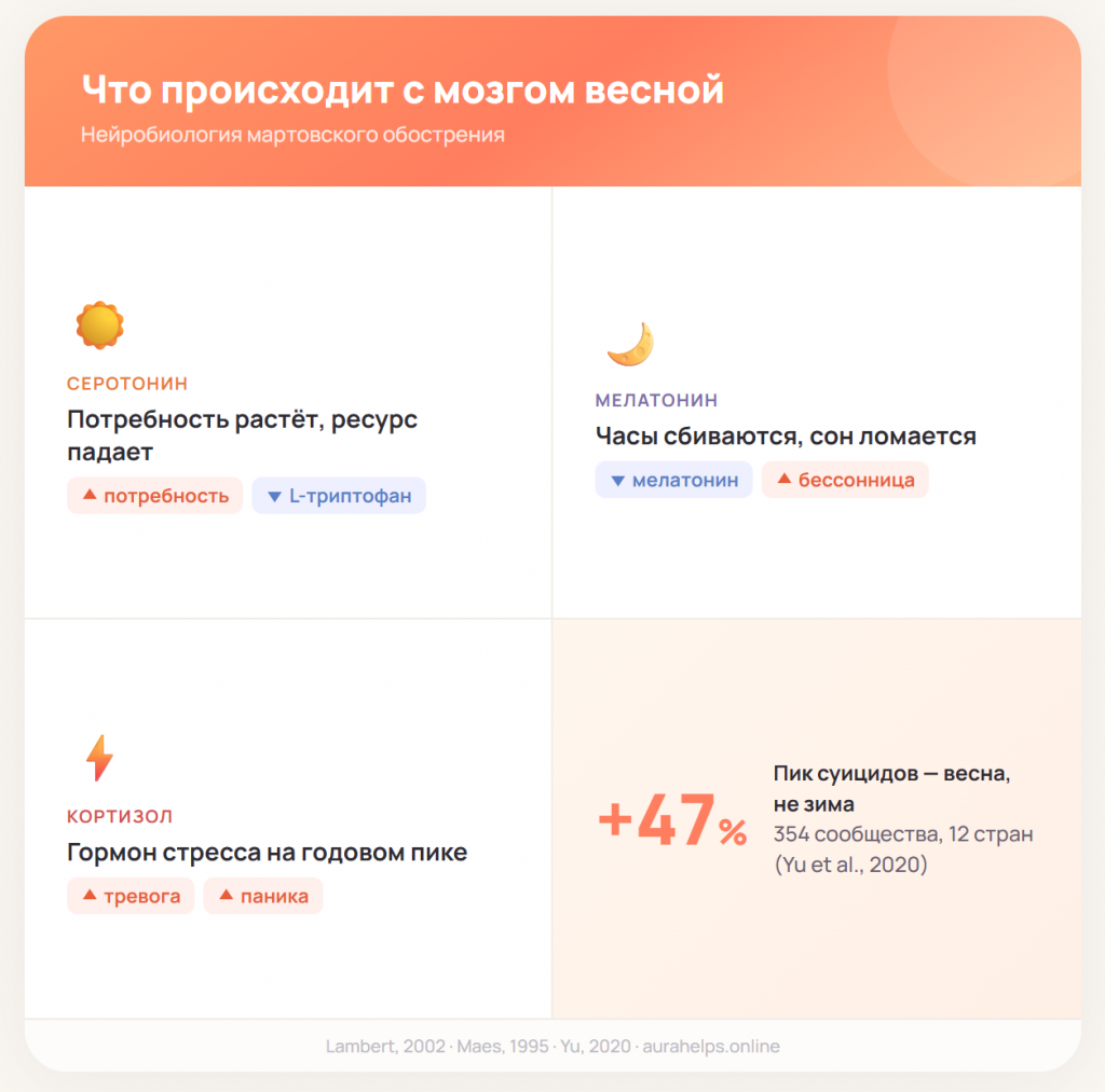 Весеннее обострение: инфографика нейробиологии — серотонин, мелатонин, кортизол и статистика суицидов