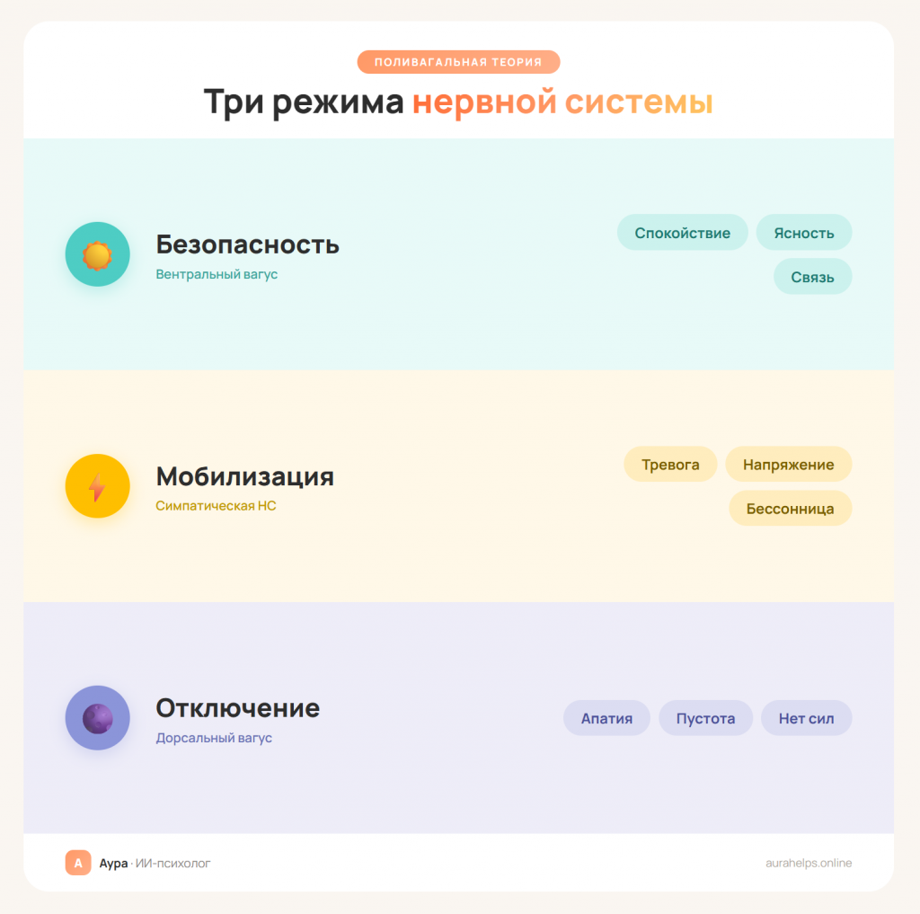 Поливагальная лестница: три состояния нервной системы — безопасность, мобилизация и отключение — и переключение между ними